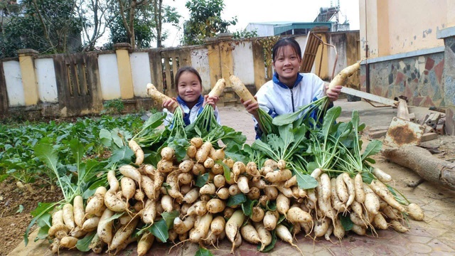 Đủ kiên trì rác sẽ nở hoa- Ảnh 4. Đủ kiên trì rác sẽ nở hoa- Ảnh 4.