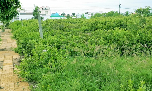Bạc Liêu: Truy tố 2 cựu Phó chủ tịch UBND TX.Giá Rai - Ảnh 3.