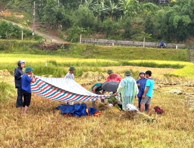 3 ngày, 2 người bị sét đánh tử vong ngoài đồng lúa 3 ngày, 2 người bị sét đánh tử vong ngoài đồng lúa