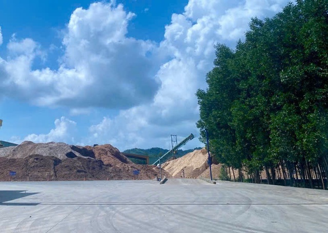 Trưởng ca sản xuất dăm gỗ bị điện giật tử vong Trưởng ca sản xuất dăm gỗ bị điện giật tử vong