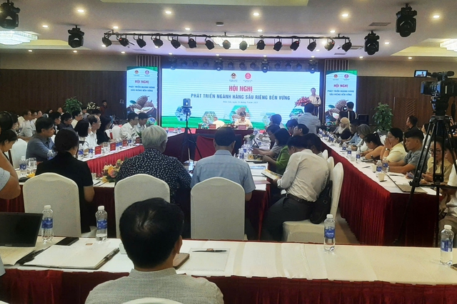 Nhiều rủi ro khi sầu riêng tăng trưởng nóng- Ảnh 2. Nhiều rủi ro khi sầu riêng tăng trưởng nóng- Ảnh 2.