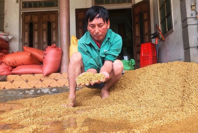 Mưa lớn ở Hà Tĩnh: Mới đầu mùa hè đã bị ngập lụt- Ảnh 3. Mưa lớn ở Hà Tĩnh: Mới đầu mùa hè đã bị ngập lụt- Ảnh 3.