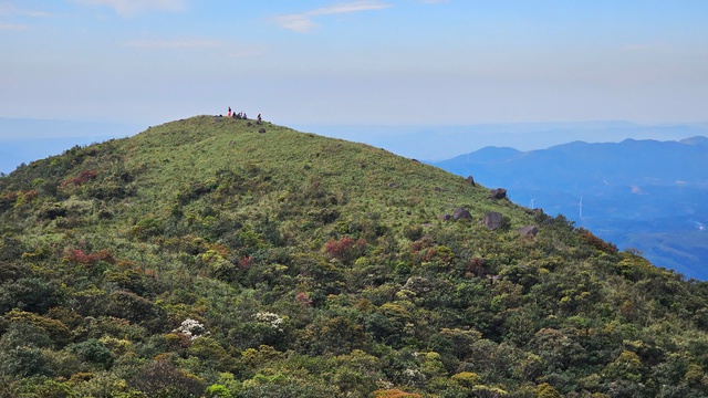 Khám phá Trekking đỉnh Voi Mẹp - nóc nhà Quảng Trị đầy thú vị - Ảnh 3. Khám phá Trekking đỉnh Voi Mẹp - nóc nhà Quảng Trị đầy thú vị - Ảnh 3.