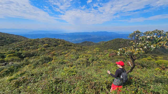 Khám phá Trekking đỉnh Voi Mẹp - nóc nhà Quảng Trị đầy thú vị - Ảnh 1. Khám phá Trekking đỉnh Voi Mẹp - nóc nhà Quảng Trị đầy thú vị - Ảnh 1.