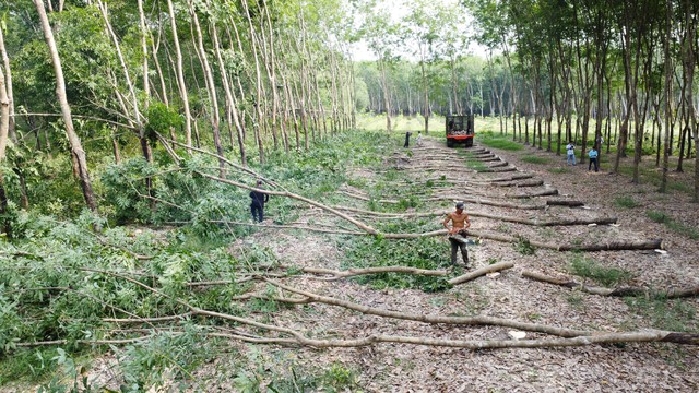 Vì sao chủ đầu tư đánh trượt thầu Tập đoàn Sơn Hải?- Ảnh 2.
