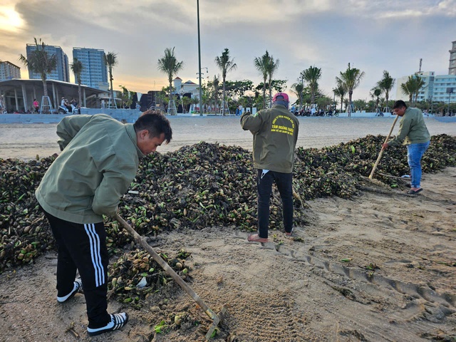 B&agrave; Rịa - Vũng T&agrave;u: H&agrave;ng trăm tấn ồ ạt tấn c&ocirc;ng B&atilde;i Sau Vũng T&agrave;u - Ảnh 2.