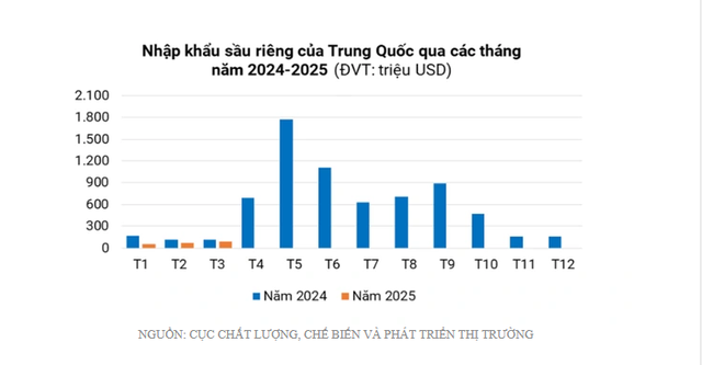 Giải pháp nào đưa sầu riêng trở lại đường đua?- Ảnh 2. Giải pháp nào đưa sầu riêng trở lại đường đua?- Ảnh 2.