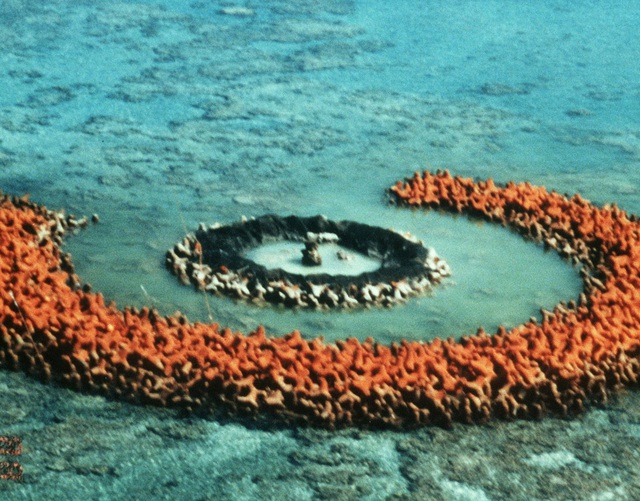 Tokyo cáo buộc Trung Quốc tiến hành nghiên cứu khoa học biển trong EEZ của Nhật - Ảnh 1.