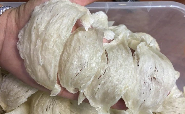 - Ảnh 1. Bác sĩ chỉ cách nhận biết tổ yến thật - giả - Ảnh 1.