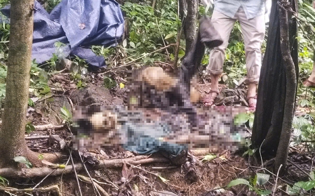 Ph&aacute;t hiện bộ xương người ở Quảng Ng&atilde;i nghi của bị can trốn truy n&atilde; - Ảnh 1.