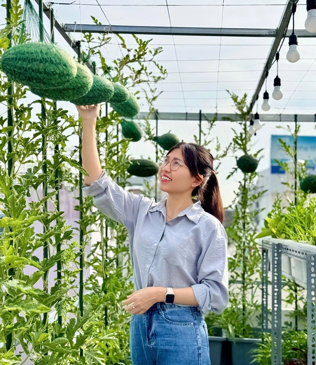 Mua nhà có sân thượng, gia đình trẻ ở TP.HCM 'nhập môn' trồng rau sạch- Ảnh 5. Mua nhà có sân thượng, gia đình trẻ ở TP.HCM 'nhập môn' trồng rau sạch- Ảnh 5.