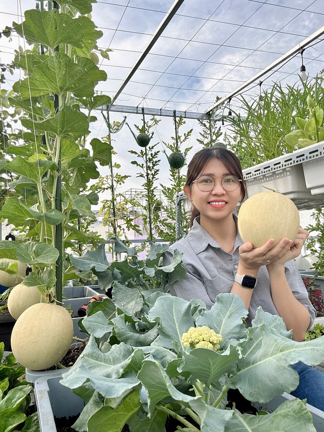 Mua nhà có sân thượng, gia đình trẻ ở TP.HCM 'nhập môn' trồng rau sạch- Ảnh 6. Mua nhà có sân thượng, gia đình trẻ ở TP.HCM 'nhập môn' trồng rau sạch- Ảnh 6.