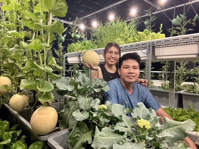 Mua nhà có sân thượng, gia đình trẻ ở TP.HCM 'nhập môn' trồng rau sạch- Ảnh 10. Mua nhà có sân thượng, gia đình trẻ ở TP.HCM 'nhập môn' trồng rau sạch- Ảnh 10.
