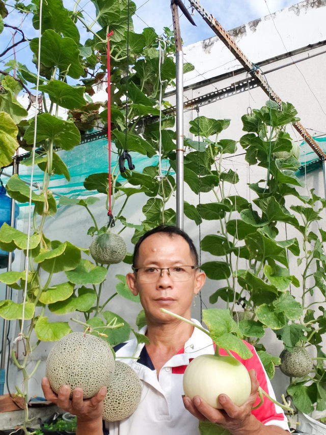 Vườn trái cây trên sân thượng giúp anh tài xế 'chữa lành' sau biến cố - Ảnh 6. Vườn trái cây trên sân thượng giúp anh tài xế 'chữa lành' sau biến cố - Ảnh 6.