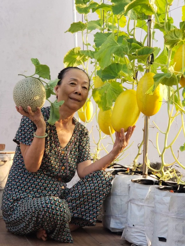Vườn trái cây trên sân thượng giúp anh tài xế 'chữa lành' sau biến cố - Ảnh 9. Vườn trái cây trên sân thượng giúp anh tài xế 'chữa lành' sau biến cố - Ảnh 9.
