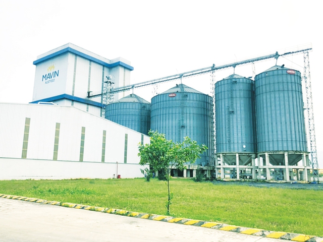 Mavin triển khai Dự án số hóa dữ liệu nhà cung cấp- Ảnh 1.
