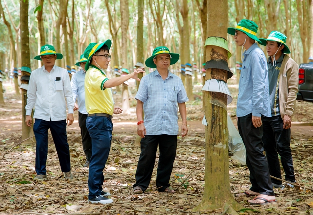Phân bón Cà Mau mở văn phòng đại diện sau 10 năm xuất khẩu sang Campuchia- Ảnh 2. Phân bón Cà Mau mở văn phòng đại diện sau 10 năm xuất khẩu sang Campuchia- Ảnh 2.