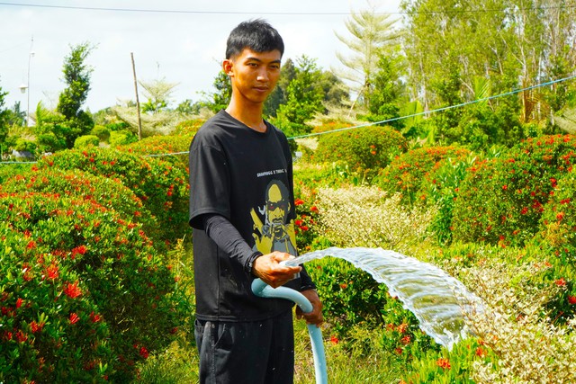 Bỏ túi trăm triệu nhờ trồng bông ‘quốc dân’ trên đất phèn mặn - Ảnh 1.