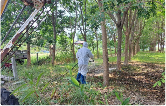 Một nhân viên của Cục Phát triển Chăn nuôi Thái Lan khử trùng một địa điểm giết mổ gia súc tại làng Khok Sawang, huyện Don Tan, tỉnh Mukdahan (Thái Lan) sau trường hợp đầu tiên tử vong do bệnh than. Ảnh: BANGKOK POST