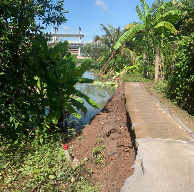 Giông lốc làm tốc mái nhà và gãy đổ gần 100 cây ăn trái chục năm tuổi - Ảnh 4.