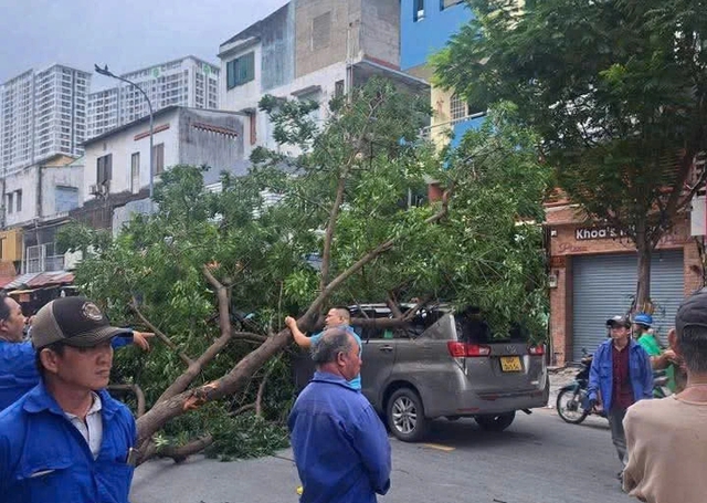TP.HCM: Nhiều cây xanh ngã, có người bị thương - Ảnh 5.
