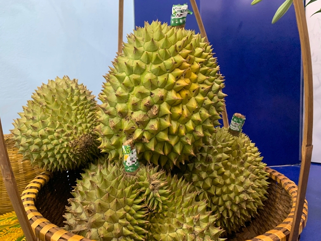 Xuất khẩu rau quả Việt Nam giảm sâu trong qúy 1 năm 2025 vì đâu? - Ảnh 1.