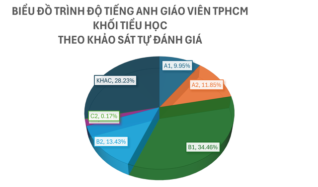 Kết quả khảo sát năng lực tiếng Anh giáo viên TP.HCM - Ảnh 2.