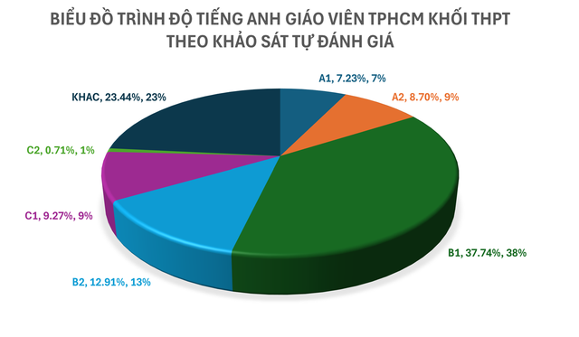 Kết quả khảo sát năng lực tiếng Anh giáo viên TP.HCM - Ảnh 4.