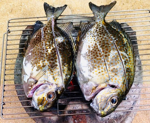 Món ngon Bình Định: Thơm phức cá dìa nướng mọi Món ngon Bình Định: Thơm phức cá dìa nướng mọi