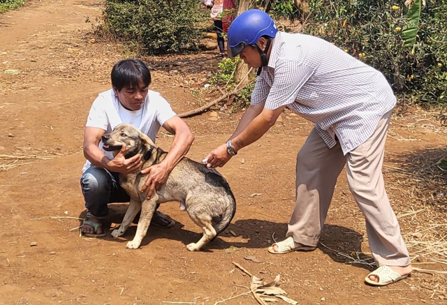 Người phụ nữ tử vong nghi do bệnh dại vì bị mèo cắn 2 năm trước Người phụ nữ tử vong nghi do bệnh dại vì bị mèo cắn 2 năm trước
