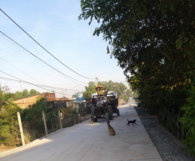 Lo cho dân nơi tập thể dục và môi trường xanh sạch- Ảnh 4. Lo cho dân nơi tập thể dục và môi trường xanh sạch- Ảnh 4.