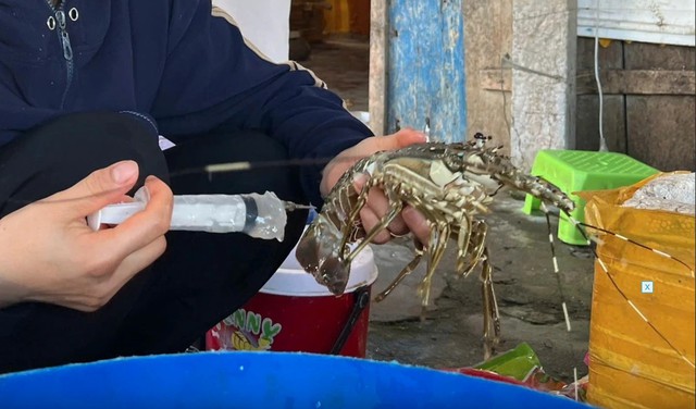 Nghiêm trị hành vi sản xuất, kinh doanh thực phẩm bẩn Nghiêm trị hành vi sản xuất, kinh doanh thực phẩm bẩn
