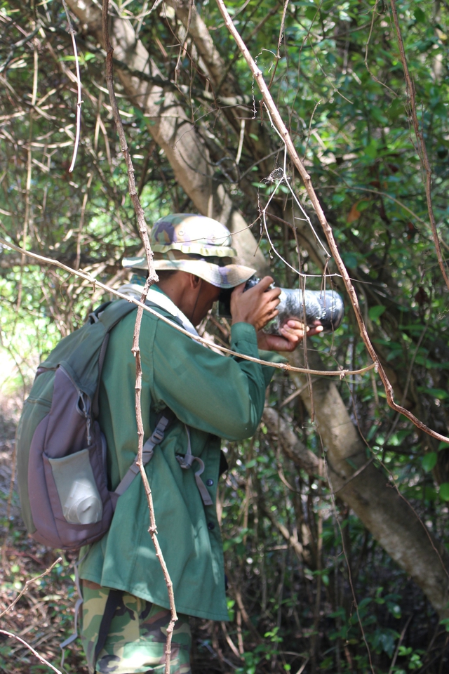 Cuộc đua 'bắn chim' xuyên biên giới ở Vườn quốc gia Bidoup- Ảnh 3. Cuộc đua 'bắn chim' xuyên biên giới ở Vườn quốc gia Bidoup- Ảnh 3.