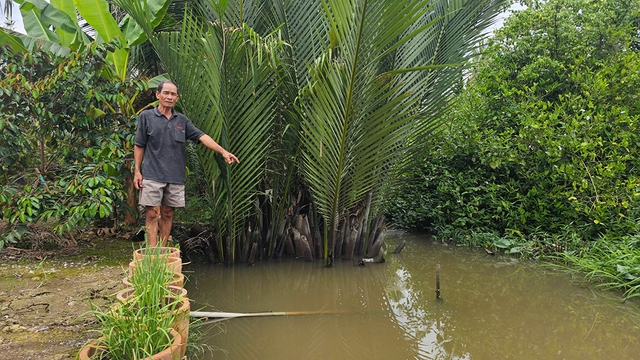 Hơn 700 hộ d&acirc;n x&atilde; B&igrave;nh Phước ' kh&aacute;t ' nước sạch , chờ đợi l&acirc;u d&agrave;i - Ảnh 1.
