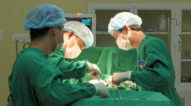 TP.HCM: Người phụ nữ bỏ tiền triệu mua ong về tự trị ung thư vú - Ảnh 1.