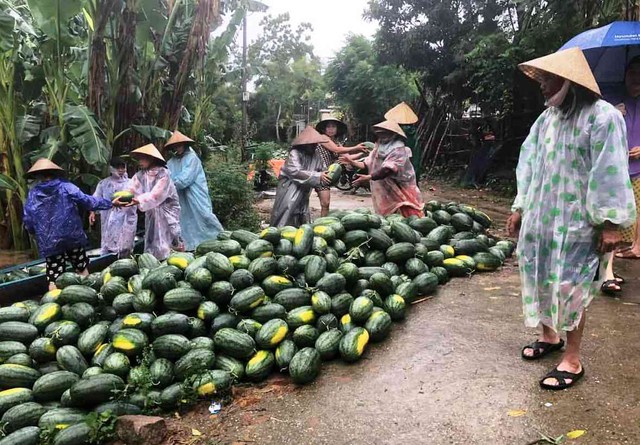 Bão số 1: Hơn 300 ngôi nhà ở Quảng Nam ngập sâu trong biển nước- Ảnh 2. Bão số 1: Hơn 300 ngôi nhà ở Quảng Nam ngập sâu trong biển nước- Ảnh 2.