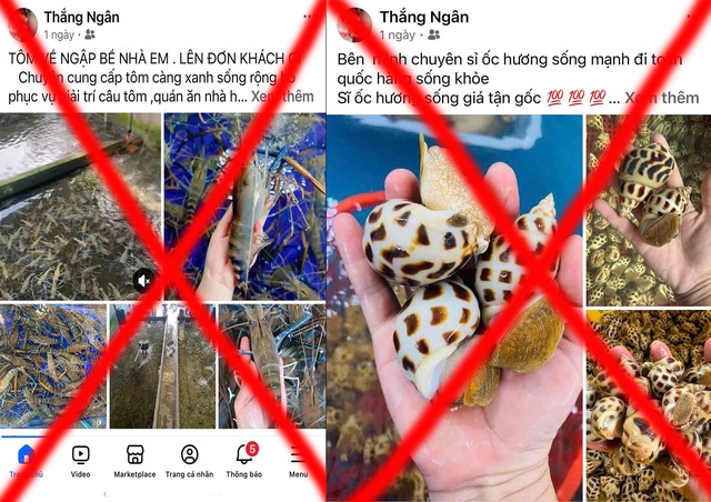 Cặp vợ chồng ở TP.HCM lừa bán hải sản cho hàng trăm người, chiếm đoạt 300 triệu- Ảnh 2. Cặp vợ chồng ở TP.HCM lừa bán hải sản cho hàng trăm người, chiếm đoạt 300 triệu- Ảnh 2.