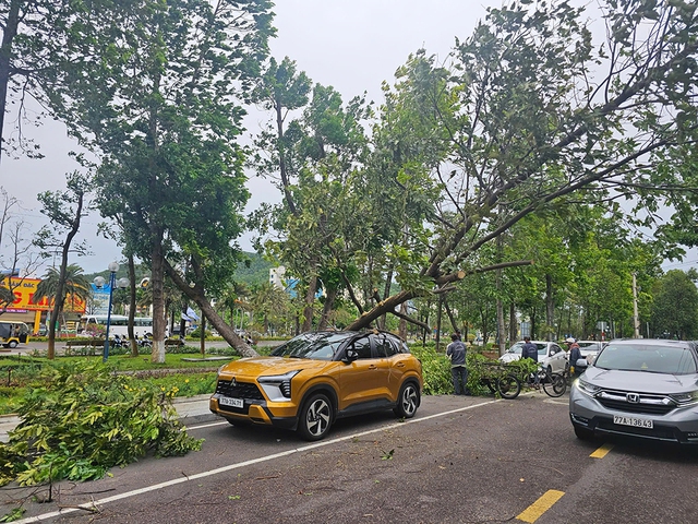 Thiệt hại nặng nề tại miền Trung do mưa lũ bất thường giữa mùa hè - Ảnh 11. Thiệt hại nặng nề tại miền Trung do mưa lũ bất thường giữa mùa hè - Ảnh 11.