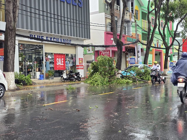 Cần Thơ: Mưa giông lớn làm cổng chào sập, cây xanh ngã đổ Cần Thơ: Mưa giông lớn làm cổng chào sập, cây xanh ngã đổ