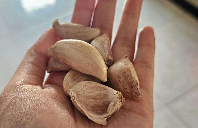 Tỏi cải thiện chức năng thận và nhiều lợi ích khác có thể bạn chưa biết- Ảnh 1. Tỏi cải thiện chức năng thận và nhiều lợi ích khác có thể bạn chưa biết- Ảnh 1.