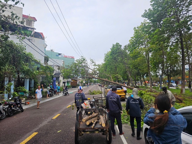 Cây bật gốc đè người giữa phố Quy Nhơn do ảnh hưởng bão số 1 - Ảnh 3. Cây bật gốc đè người giữa phố Quy Nhơn do ảnh hưởng bão số 1 - Ảnh 3.