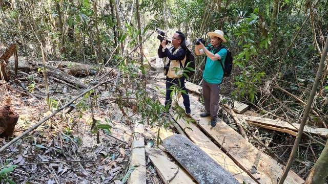L&agrave;m ph&oacute;ng vi&ecirc;n thường tr&uacute; - Ảnh 3.