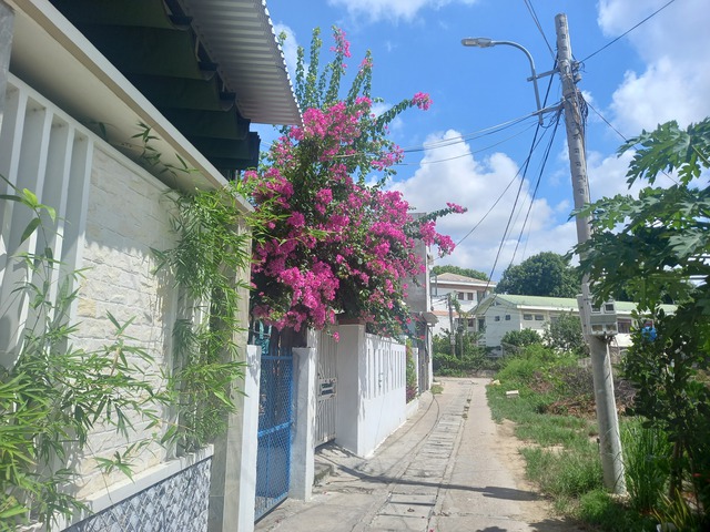 Người Quảng Ngãi ở quê có nhiều cách tiết kiệm điện 'độc, lạ' - Ảnh 3.