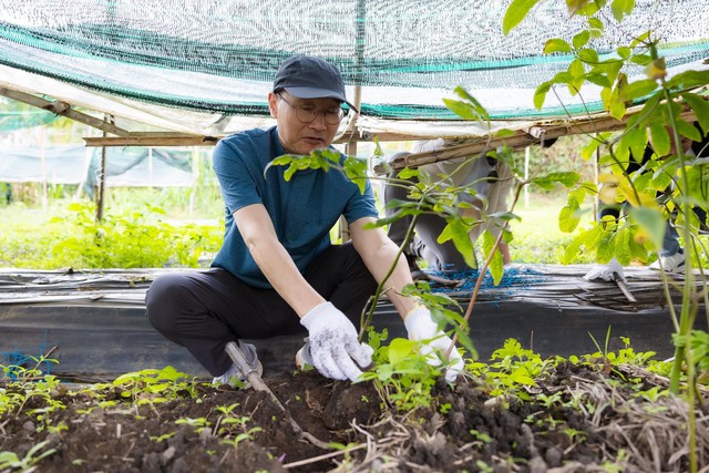 S&acirc;m Th&aacute;i Minh &lsquo;bắt tay&rsquo; VGC: Chiến lược mở rộng v&ugrave;ng trồng bằng c&ocirc;ng nghệ H&agrave;n Quốc- Ảnh 2.