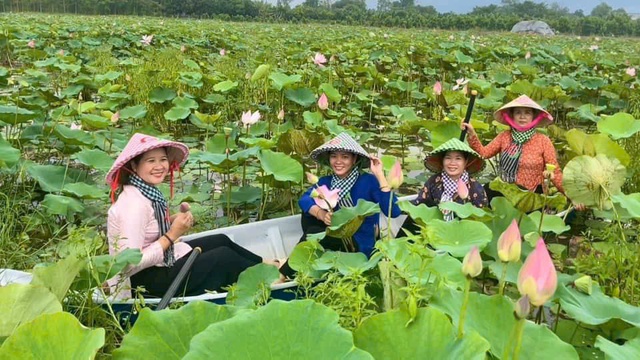 Đồng Tháp thu hút du khách bởi nét đẹp mộc mạc, tự nhiên- Ảnh 3. Đồng Tháp thu hút du khách bởi nét đẹp mộc mạc, tự nhiên- Ảnh 3.