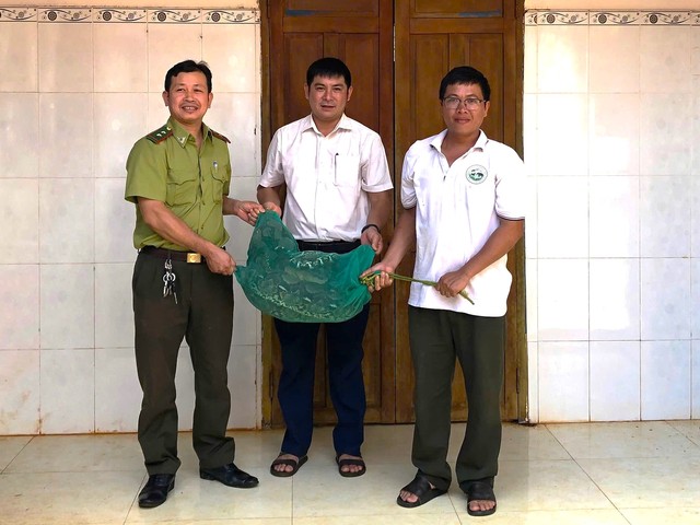 Trăn gấm vào nhà dân… bắt gà Trăn gấm vào nhà dân… bắt gà