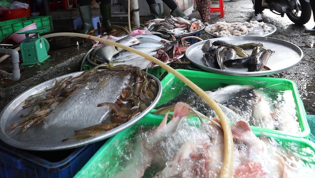 5 hộ kinh doanh có doanh thu trên 200 tỉ đồng/năm nộp thuế bao nhiêu? 5 hộ kinh doanh có doanh thu trên 200 tỉ đồng/năm nộp thuế bao nhiêu?