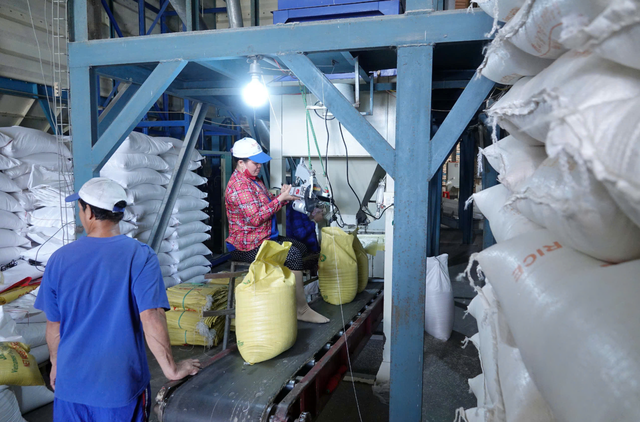 Doanh nghiệp gạo bị 'nợ' hoàn thuế VAT cả trăm tỉ đồng  - Ảnh 1.