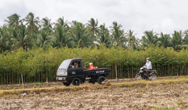 Chàng trai miền Tây mang 6 giỏ trái cây đi hỏi vợ gây sốt mạng xã hội - Ảnh 4.