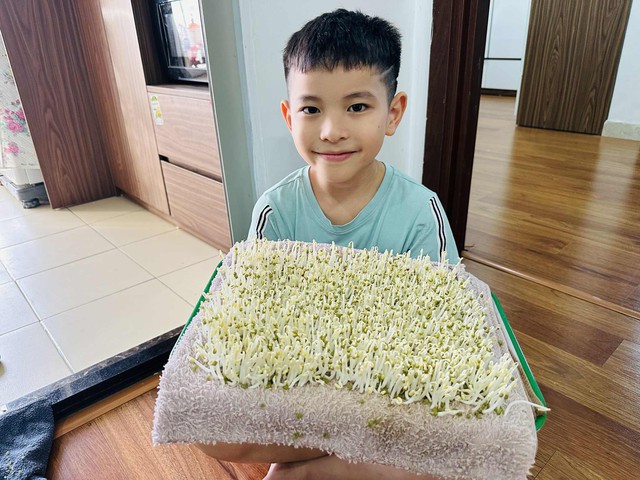 Cách làm giá đỗ sạch không tưới nước, trắng nõn, không lo hóa chất độc hại Cách làm giá đỗ sạch không tưới nước, trắng nõn, không lo hóa chất độc hại